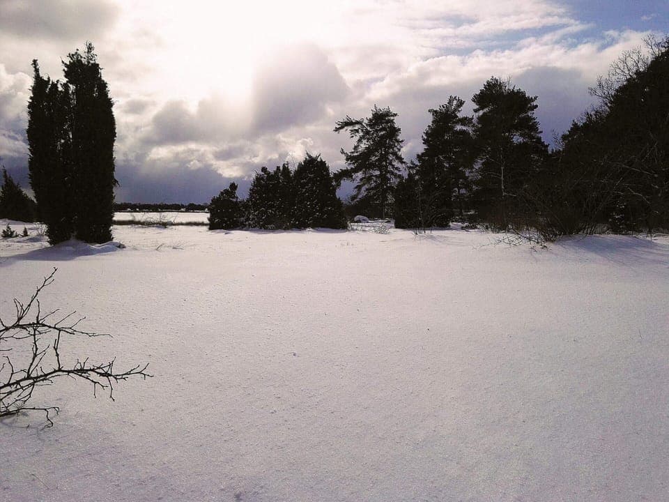 House | Miscellaneous