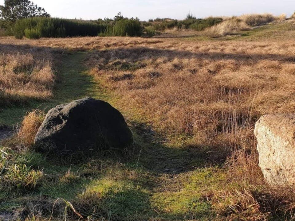 House | Miscellaneous