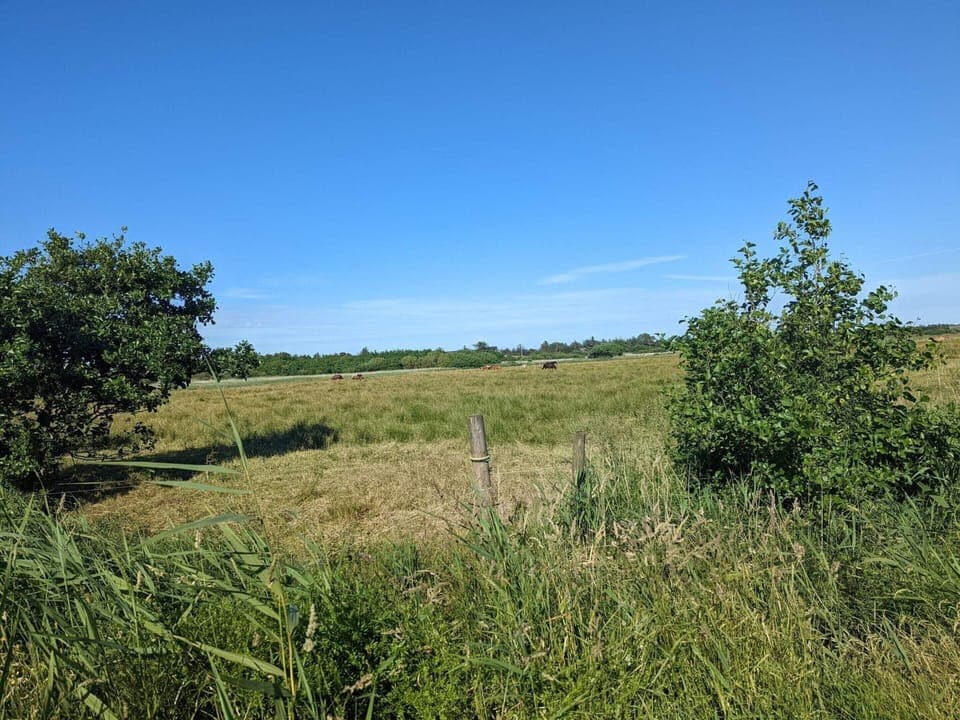 House | Miscellaneous