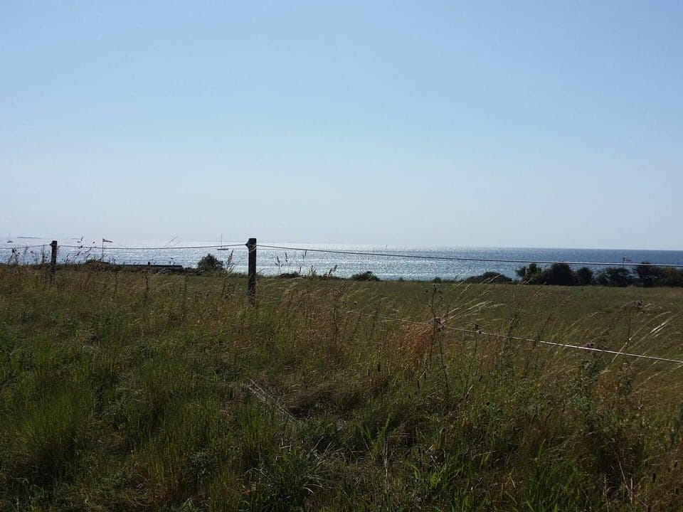 House | Miscellaneous