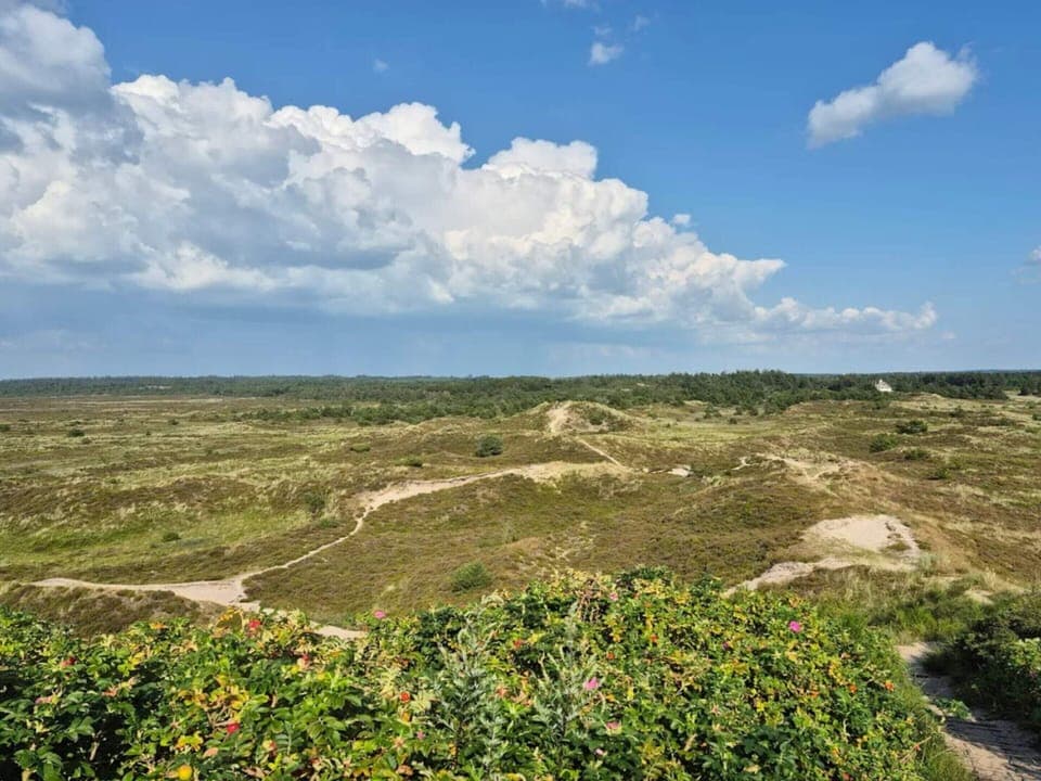 House | Miscellaneous