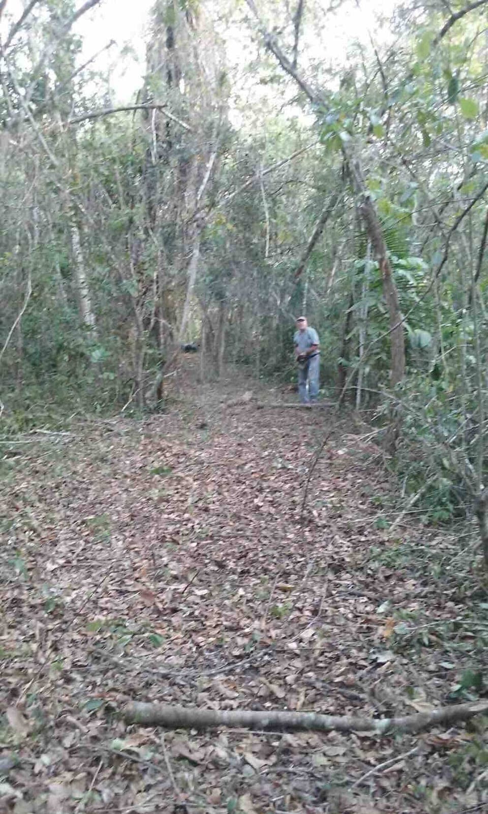 Cabin, 1 Bedroom, Patio | Exterior