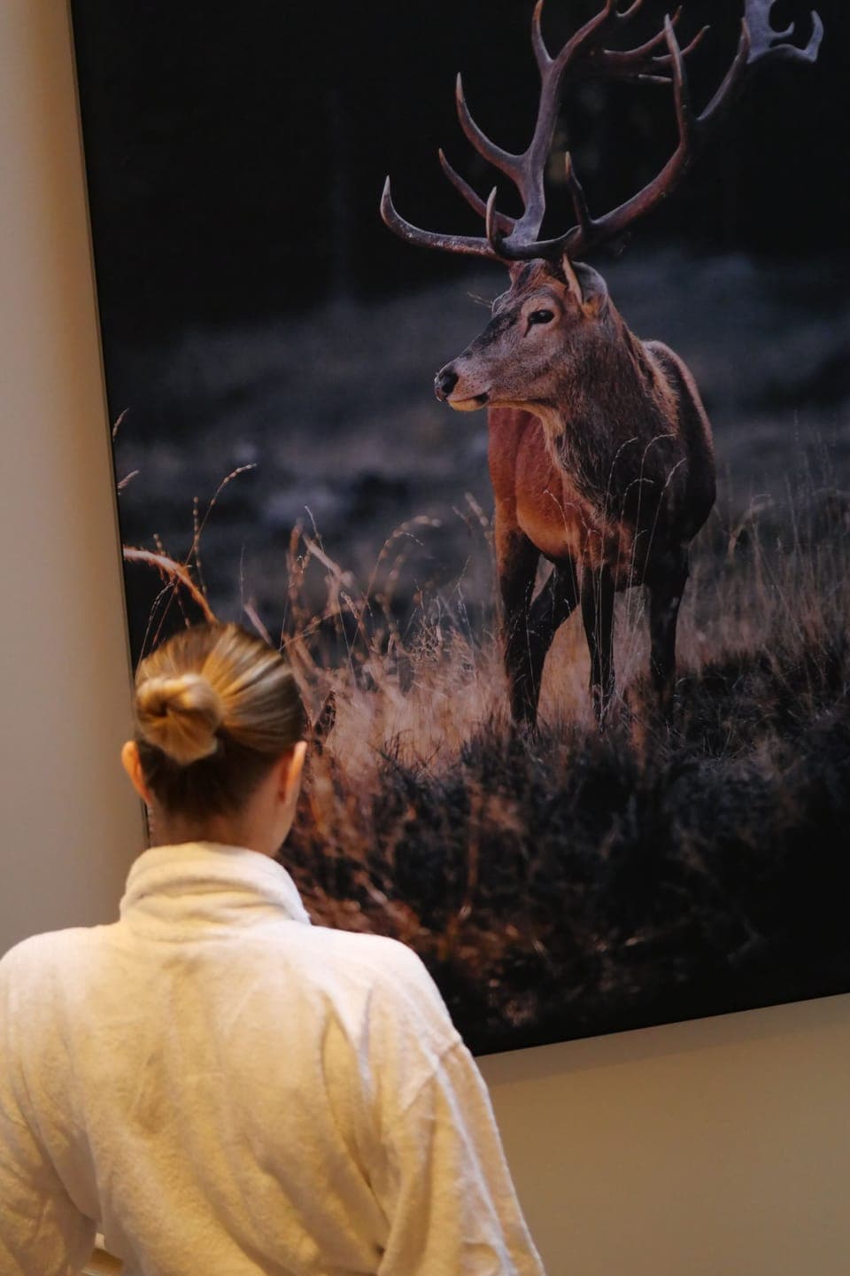 Comfort Room | Laptop workspace, soundproofing, free WiFi