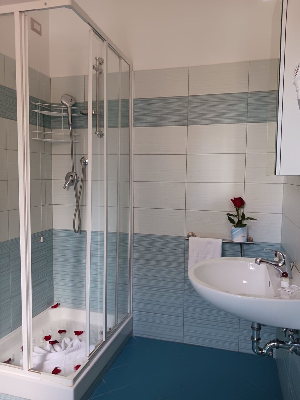 Shower, free toiletries, hair dryer, bidet