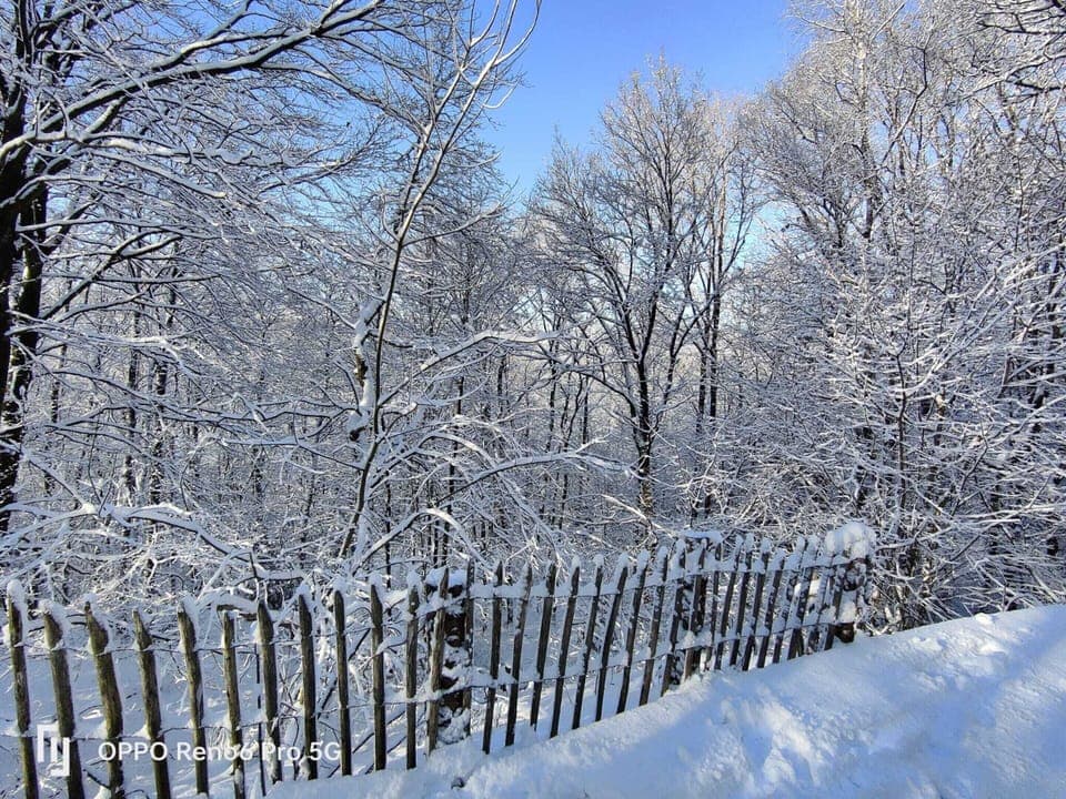 Chalet | View from property