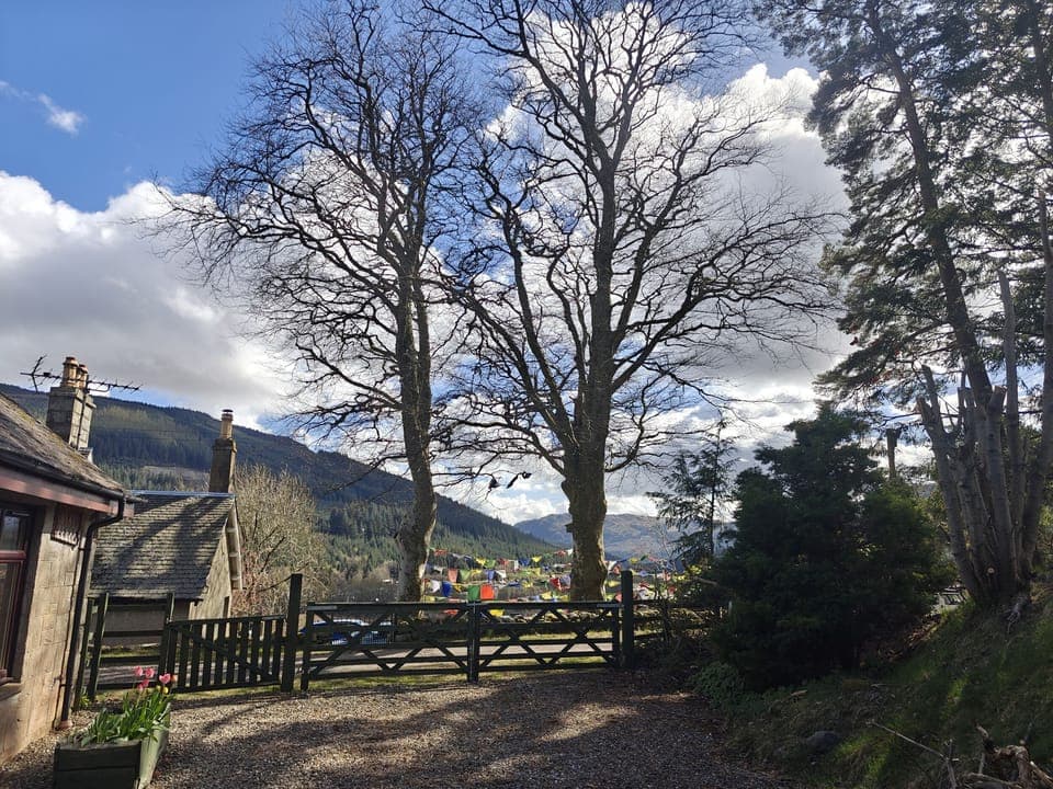 Cottage | Miscellaneous