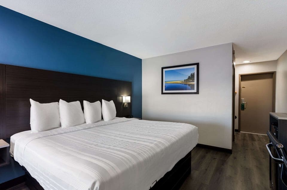 Standard Single Room, 1 King Bed, Non Smoking | Pillowtop beds, individually decorated, individually furnished, desk