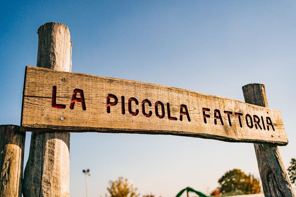 Children's activities