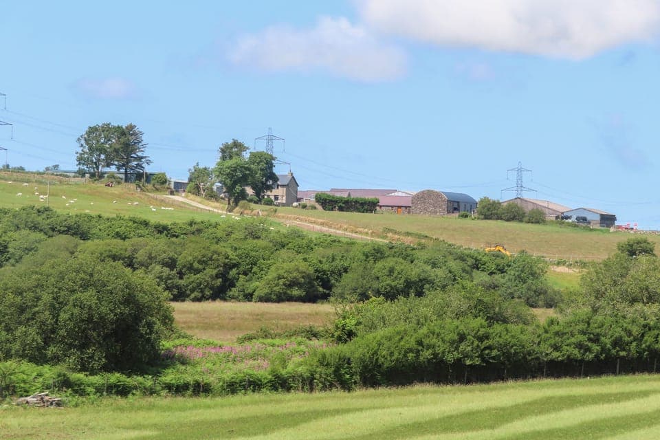 Cottage | Miscellaneous