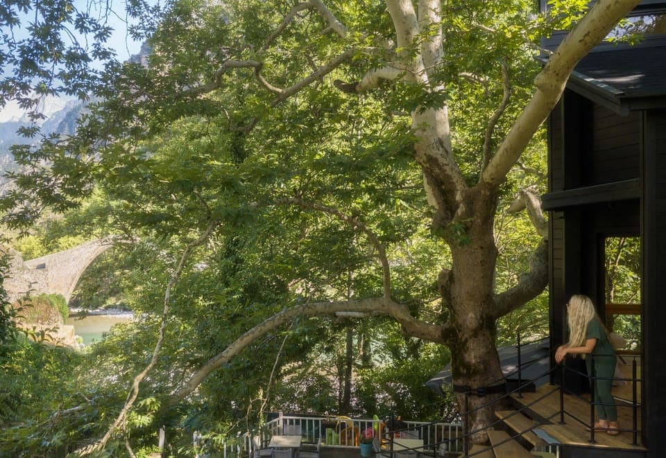 Tree House | Terrace/patio