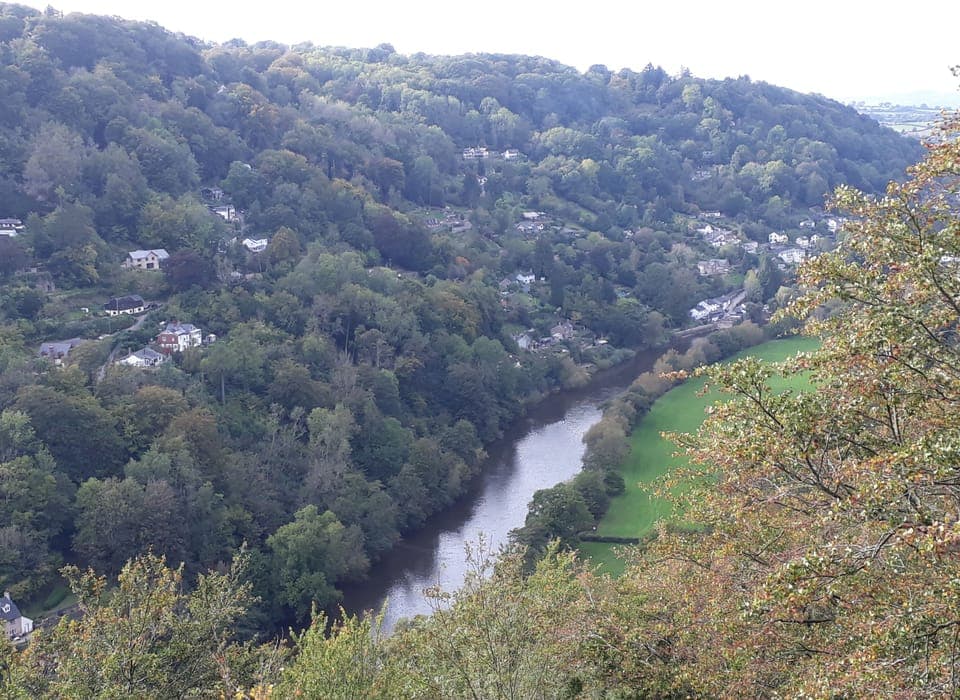 Cottage | Aerial view