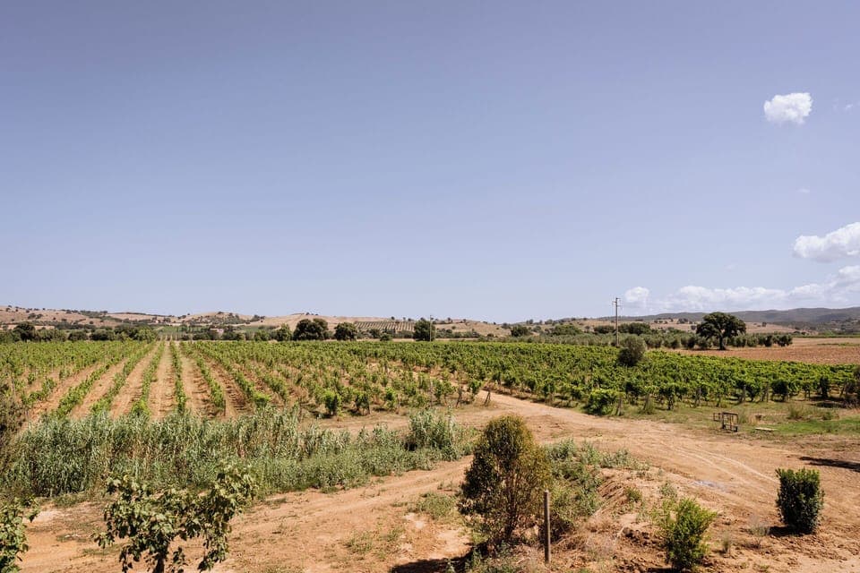 Land view from property