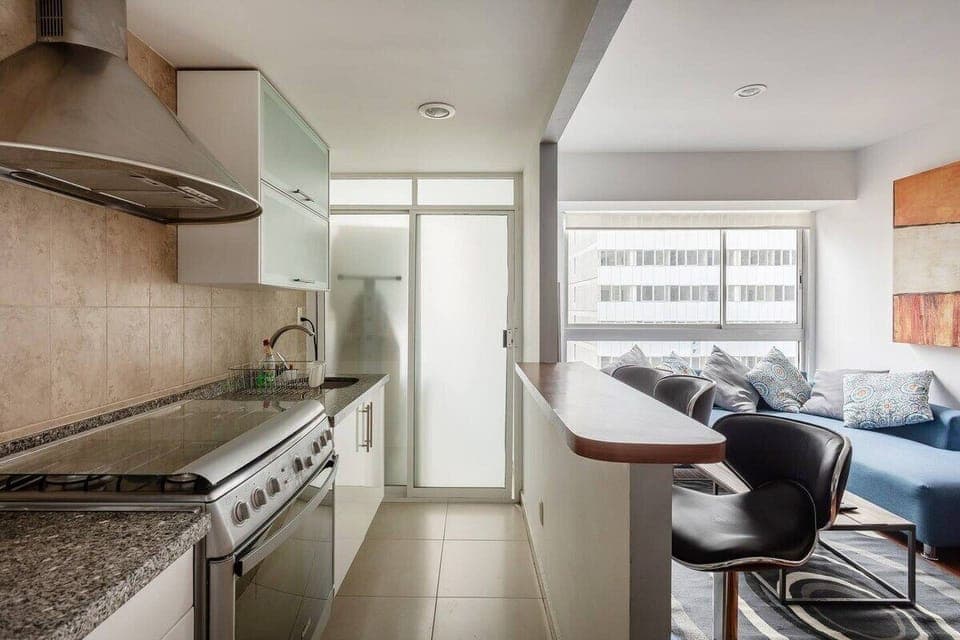 Family Apartment | Private kitchen | Full-size fridge, microwave, oven, toaster
