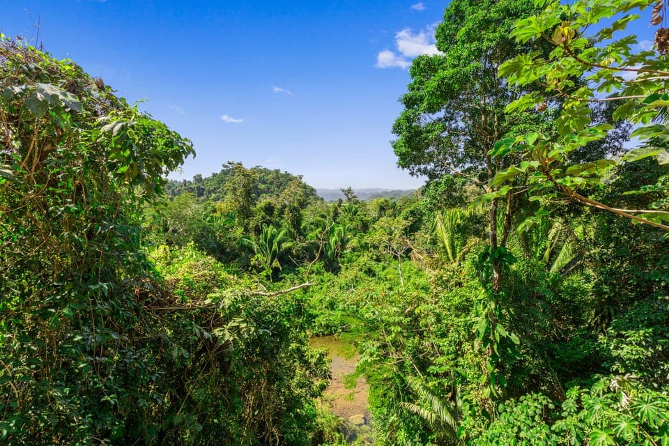 2 Bedroom River View | Mountain view