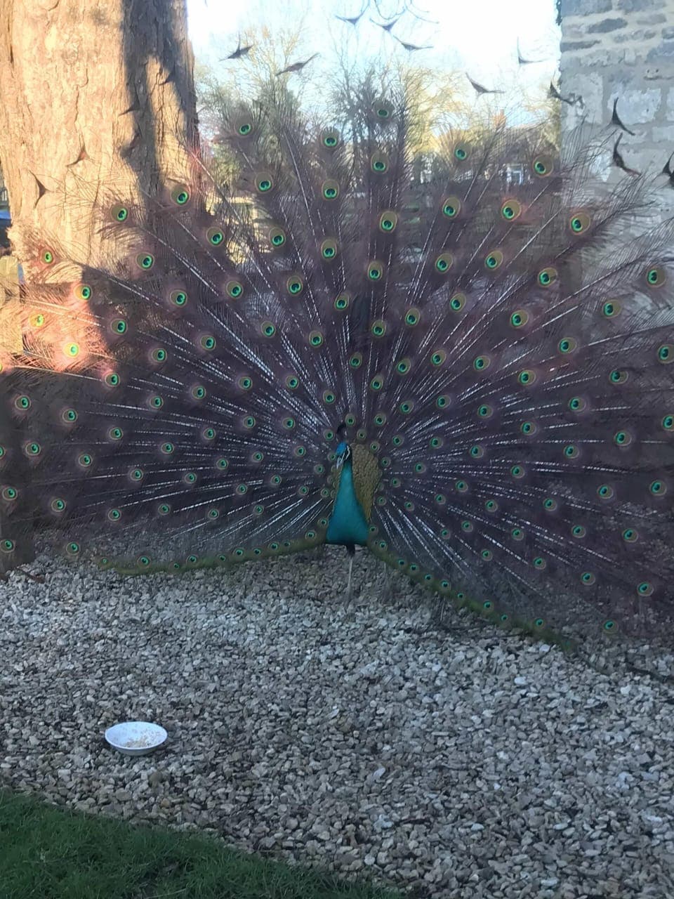 Standard Double Room, Ensuite, Garden View (Willow) | Exterior