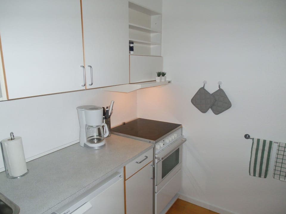 Apartment, 1 Bedroom, Kitchen | Private kitchen | Fridge, oven, stovetop, coffee/tea maker