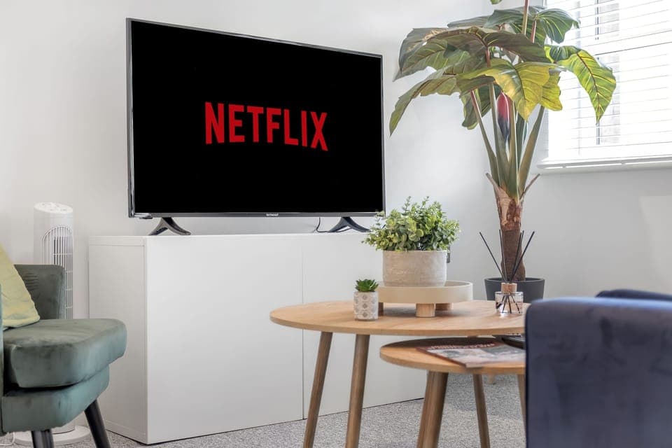 Basic Apartment | Living area