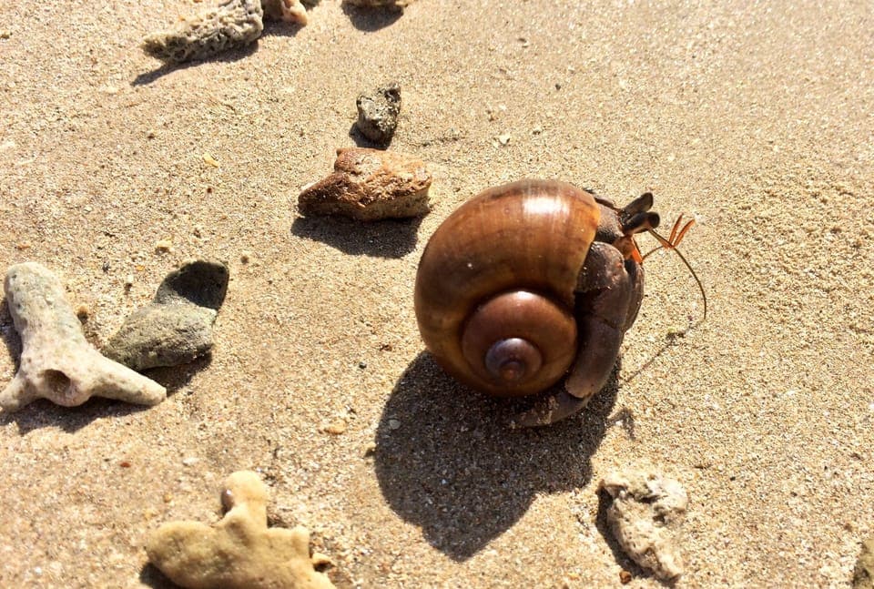 Beach nearby, white sand, beach towels, beach massages