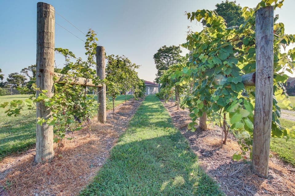 House (1 Bedroom) | Interior