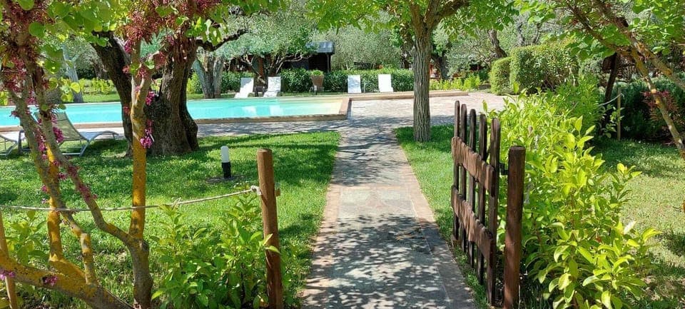 Seasonal outdoor pool, open 9:00 AM to 8:00 PM, sun loungers