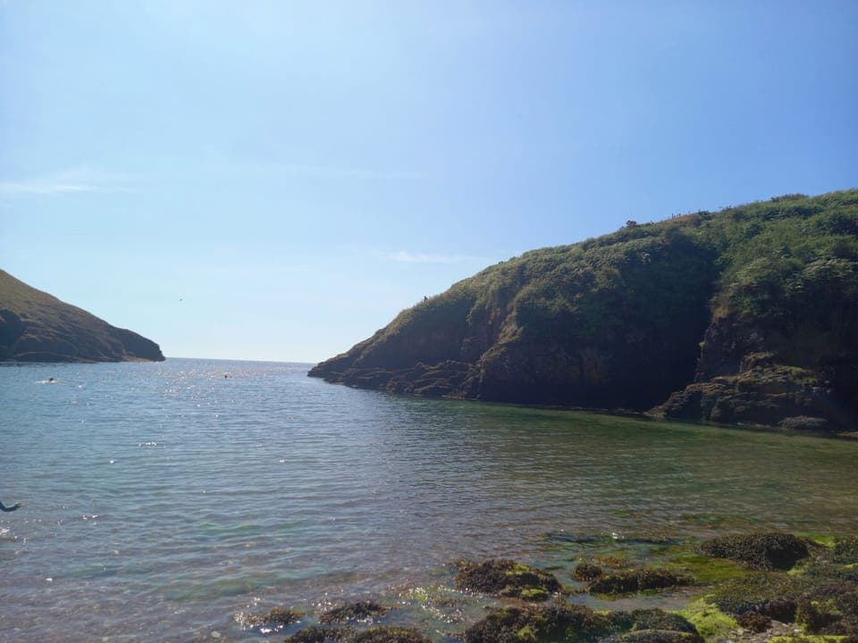 View