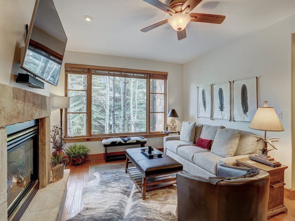 Ceiling Fan