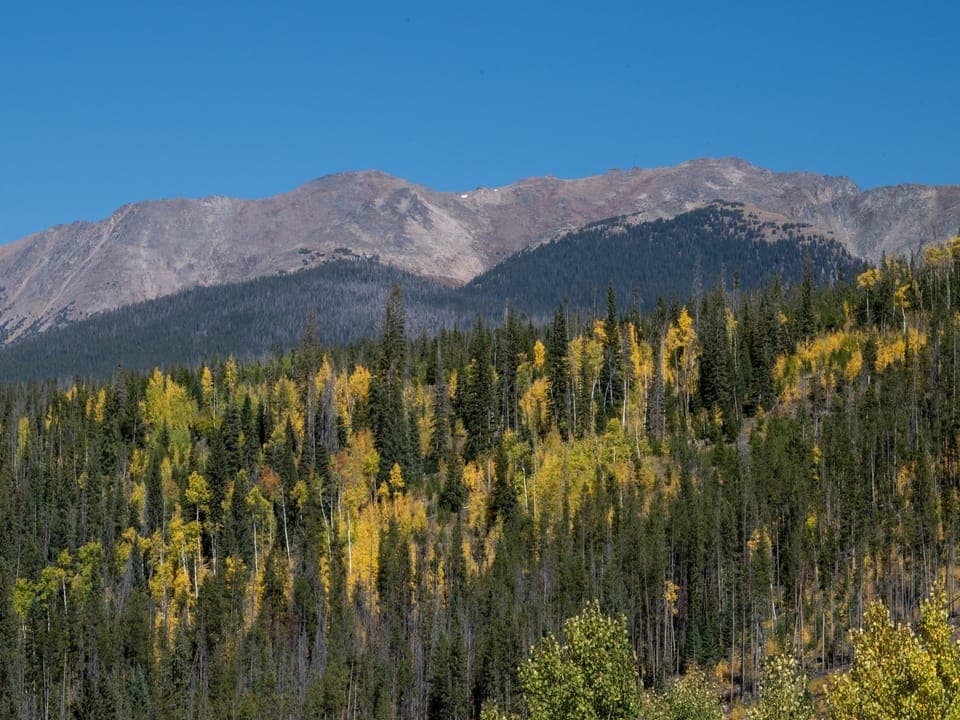 Views of the Mountains