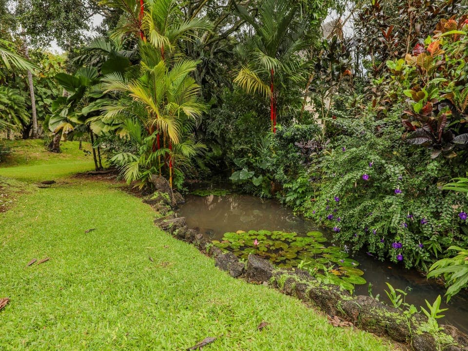 Streams run through the grounds along with beautiful plants.