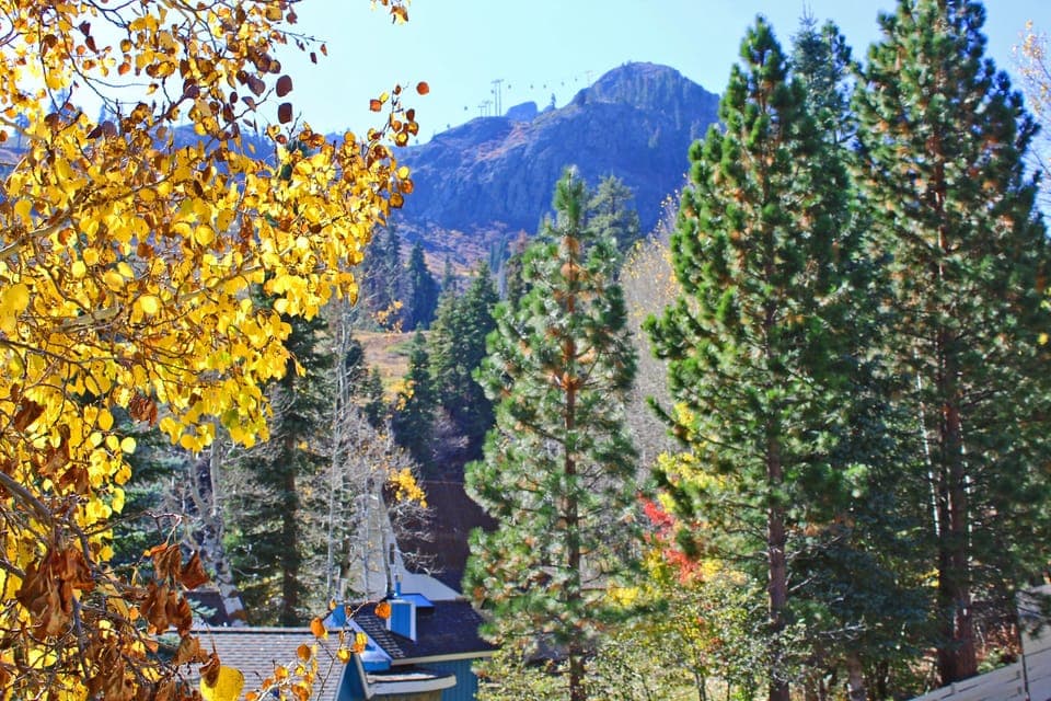 View of KT-22 from Living Area