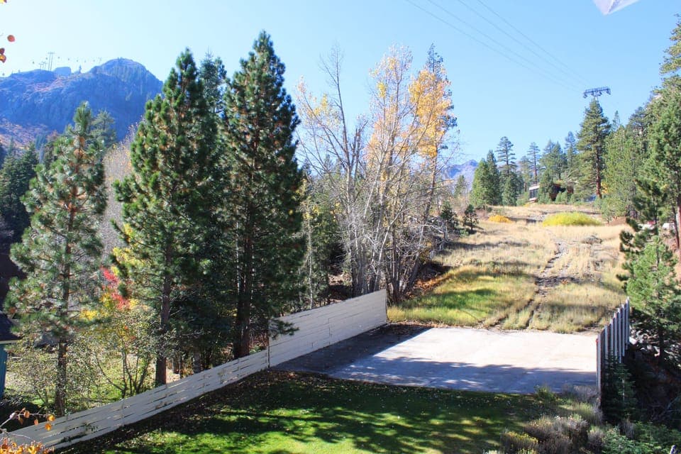 View of Sunnyside ski trail looking West from Living Area window