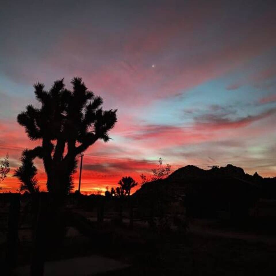 Magical Mohave moments!