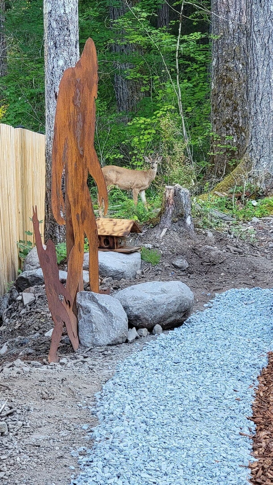 An abundance of deer frequent the cabin