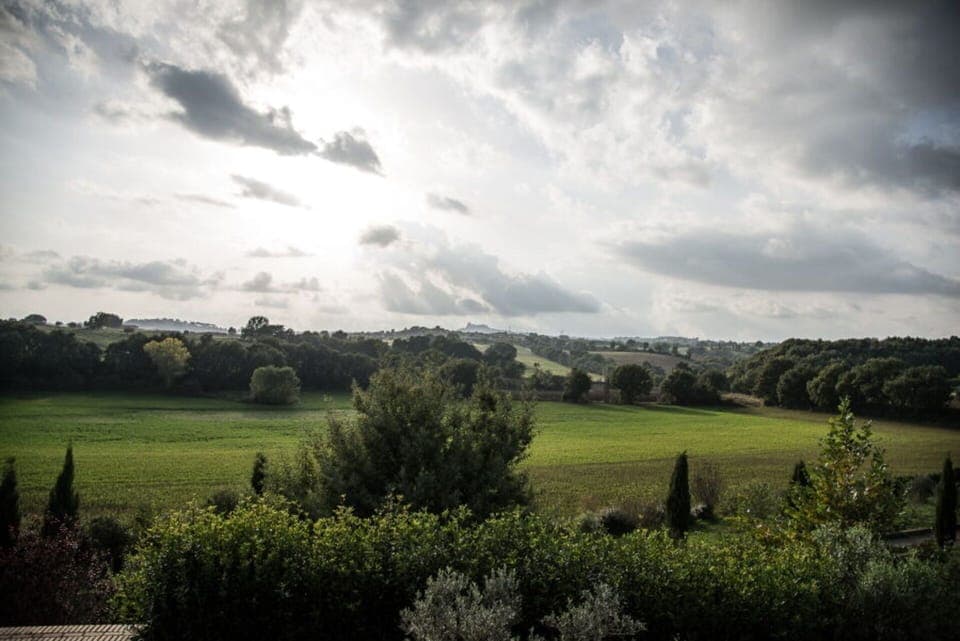 Autumn, Building Exterior, Spring, Summer