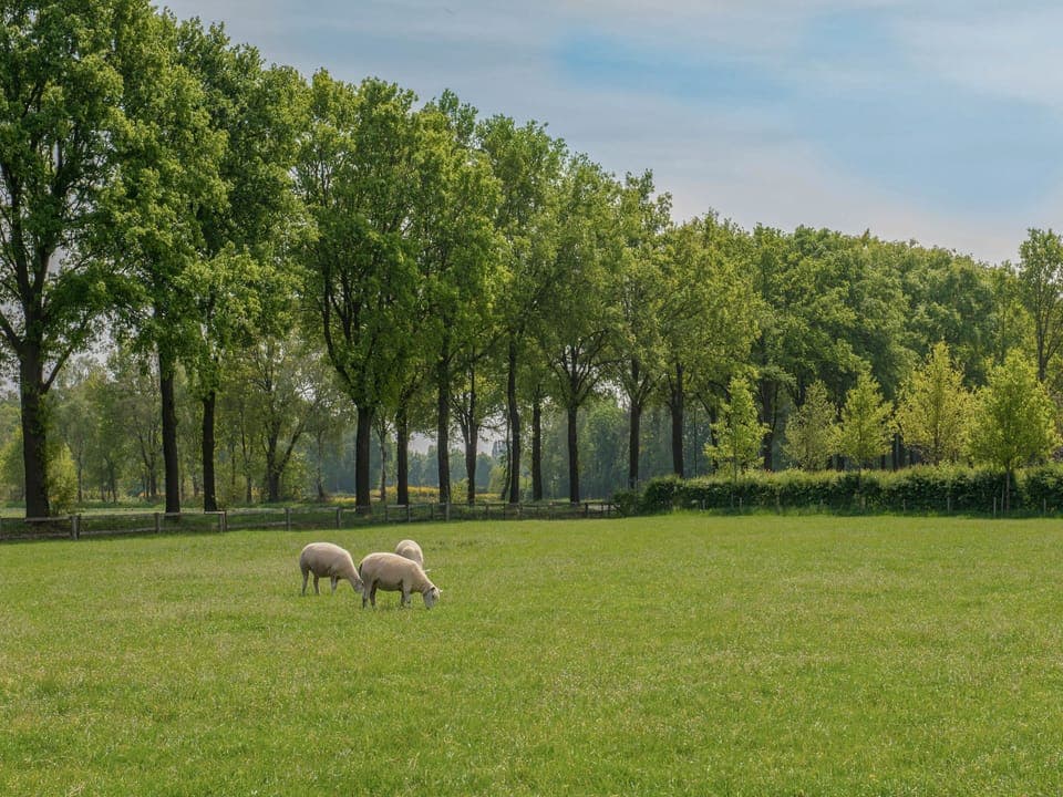 Immediate Surroundings [summer] (<1 km)