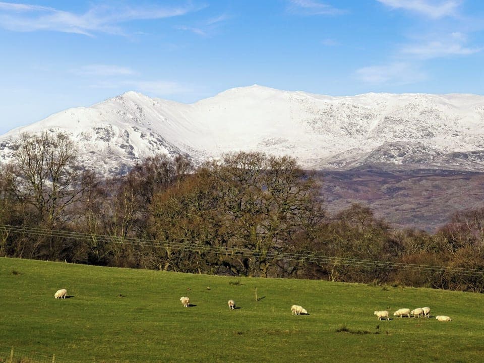 Surrounding area | Plas Madog, Parc, near Bala