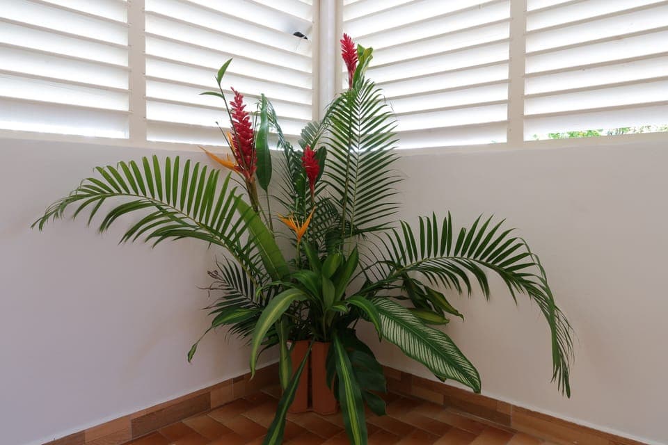 Interior detail