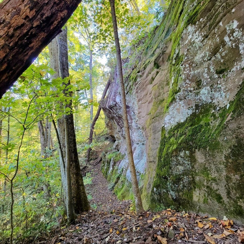 On-site trails for the adventurous! 