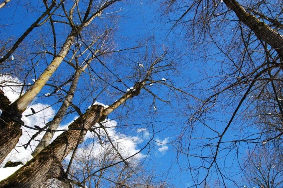 Region [winter] (>5 km)