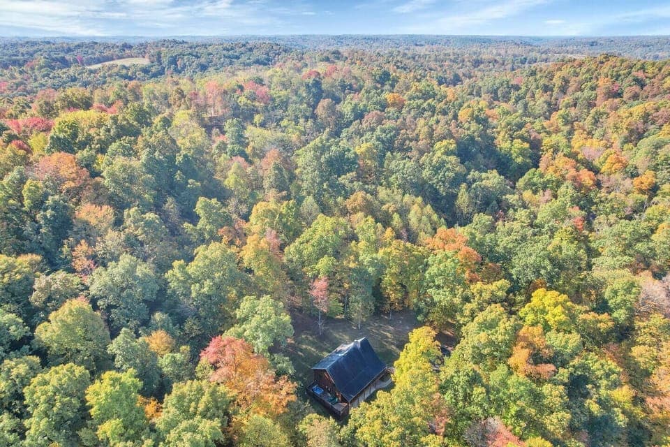 Beautiful tall trees surround Hocking Hideaway, the ideal destination to enjoy Hocking Hills, Ohio! 