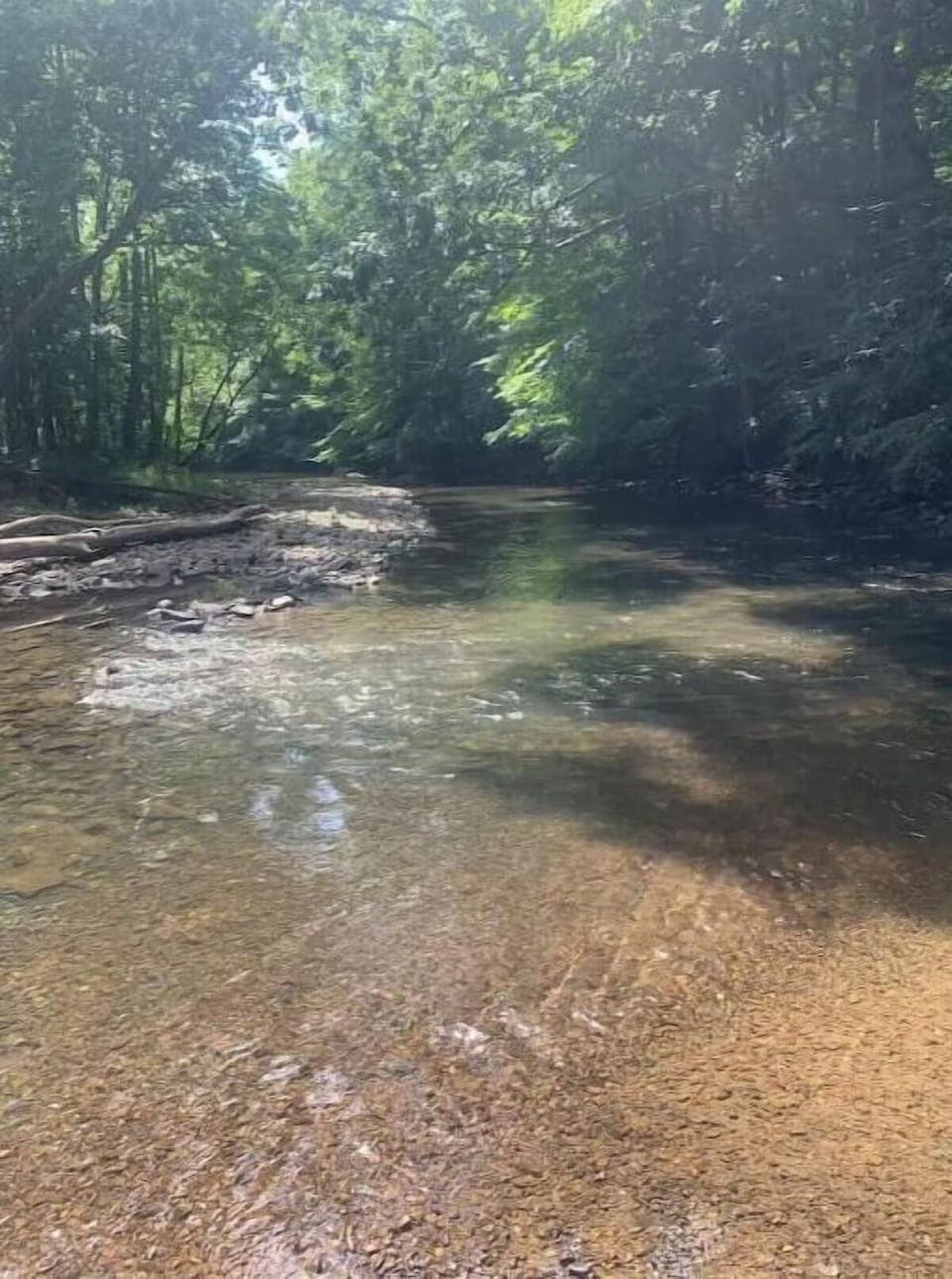 The Clear Fork River below the cabin