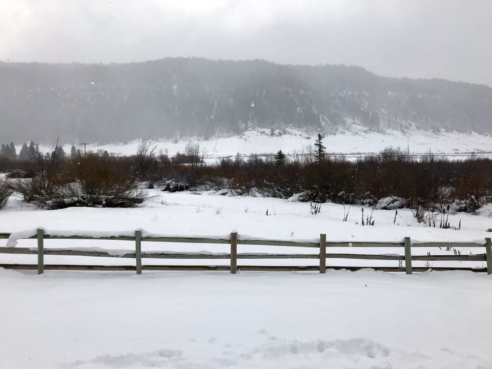 Snow and ski sports