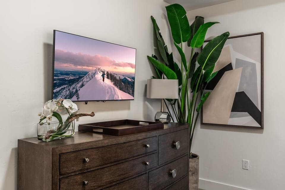 Screen, Furniture, TV, Flower, Flower Arrangement