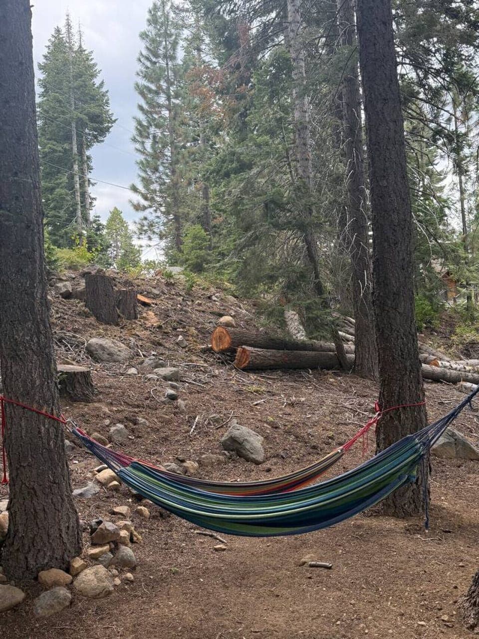 Your secret spot to nap, read, or just listen to the forest.