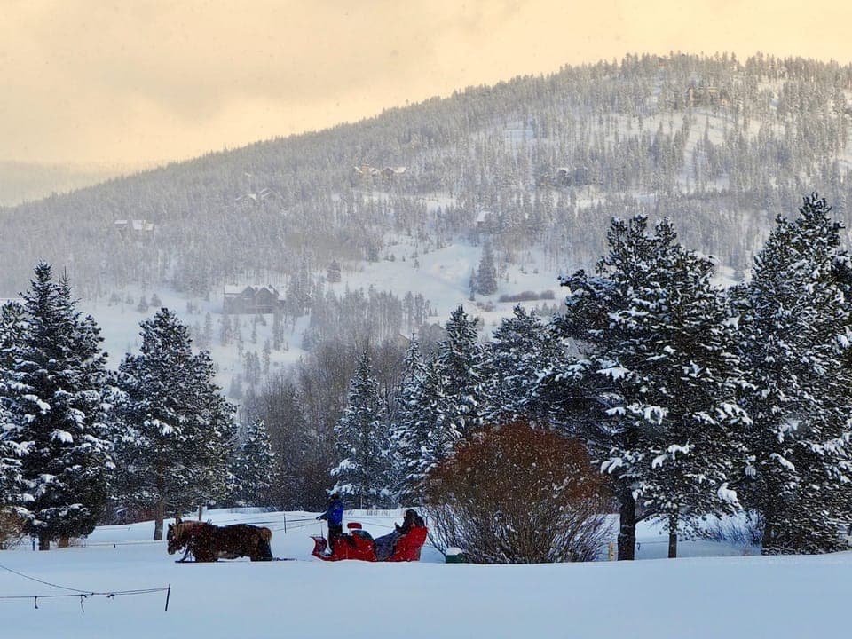 Winter wonderland with horse-drawn sleigh.