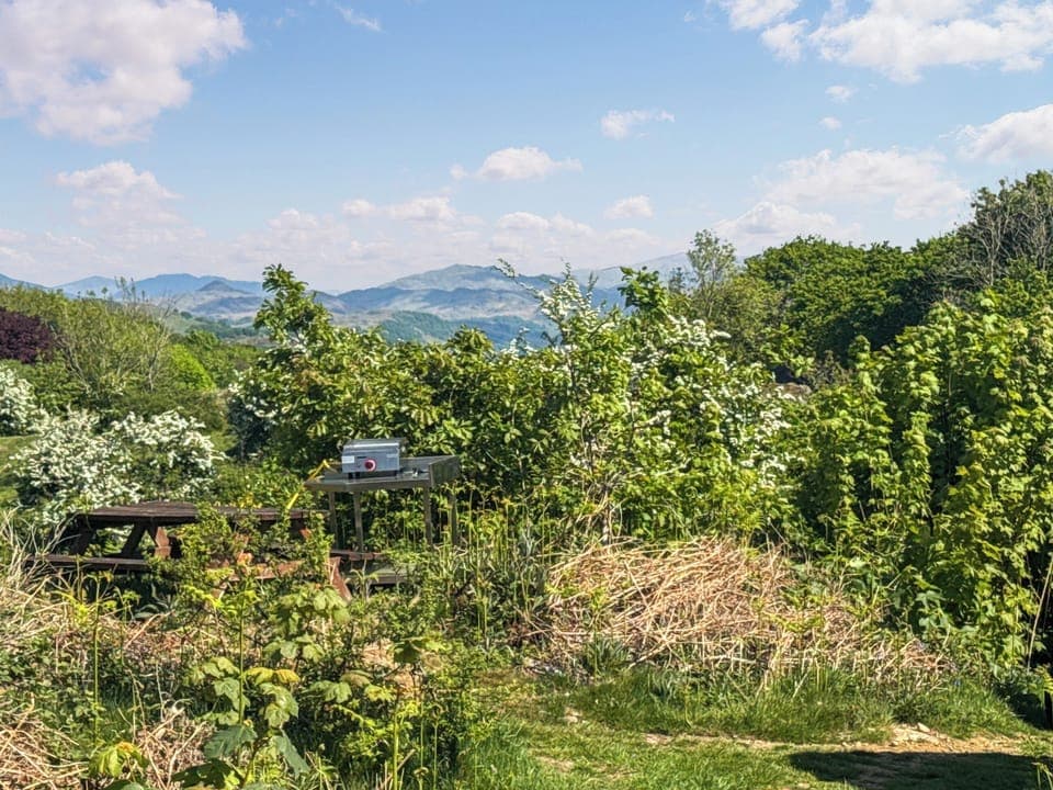 your grill will a view | Deer Close - Woodland Retreats, Millom