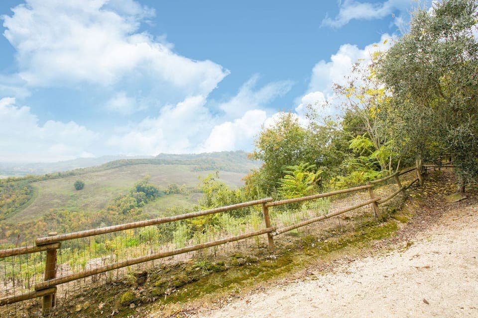 Immediate Surroundings [summer] (<1 km)