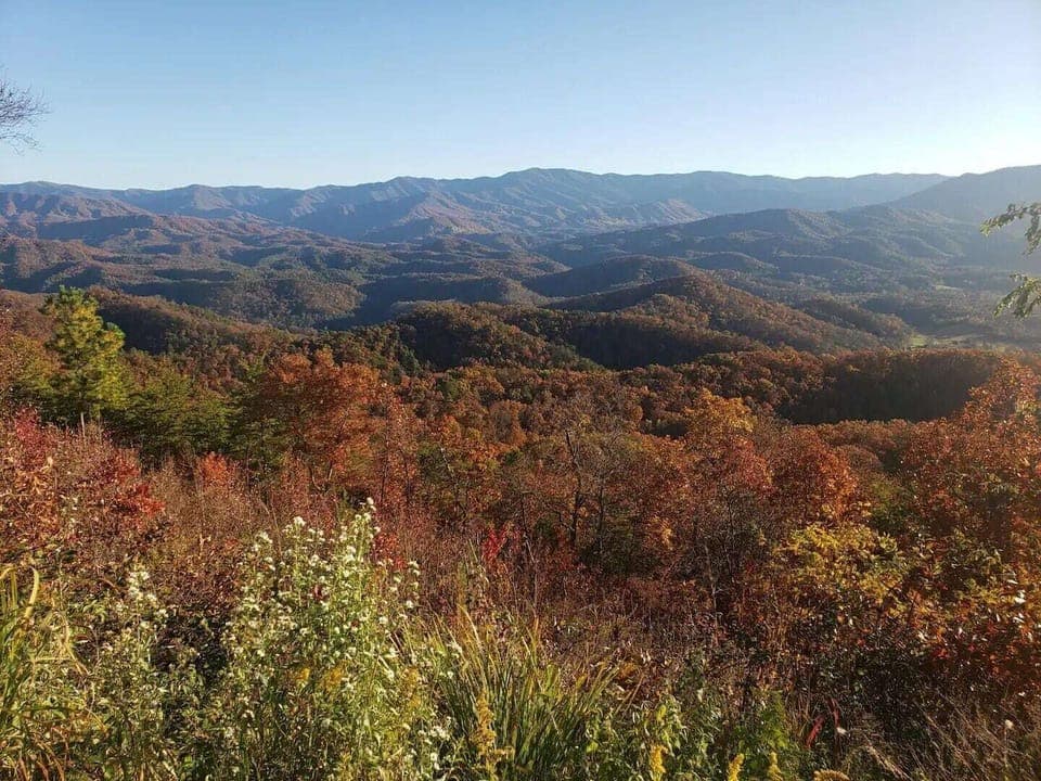 Fall colors in the area