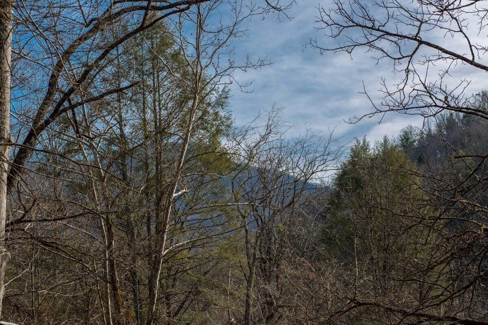 Smoky Mountain Views Off The Back Porch!