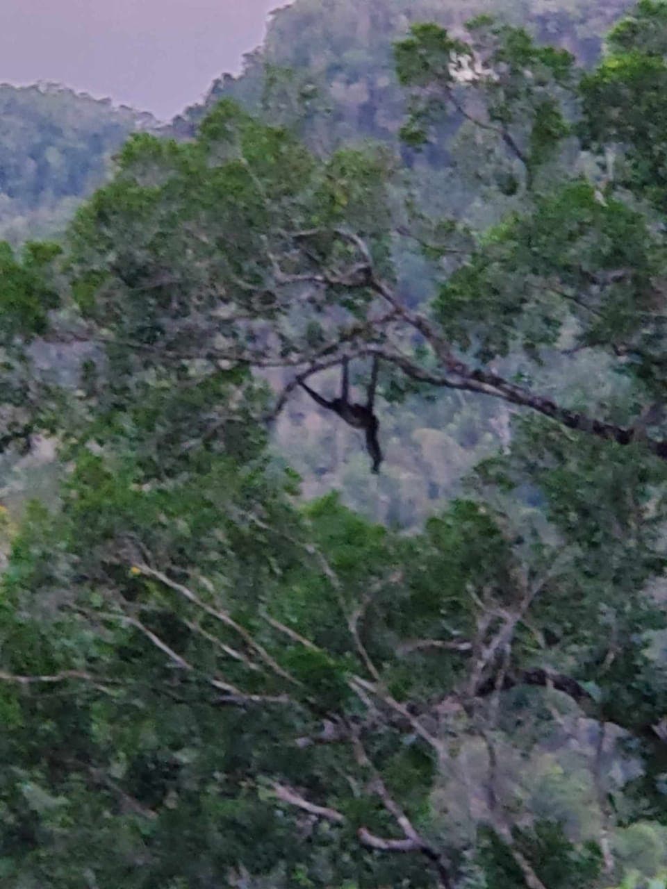 Neighbors just hanging around