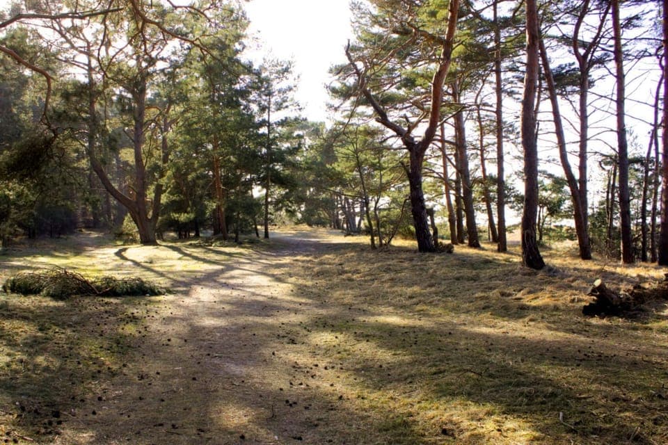 View from Holiday Home [summer]